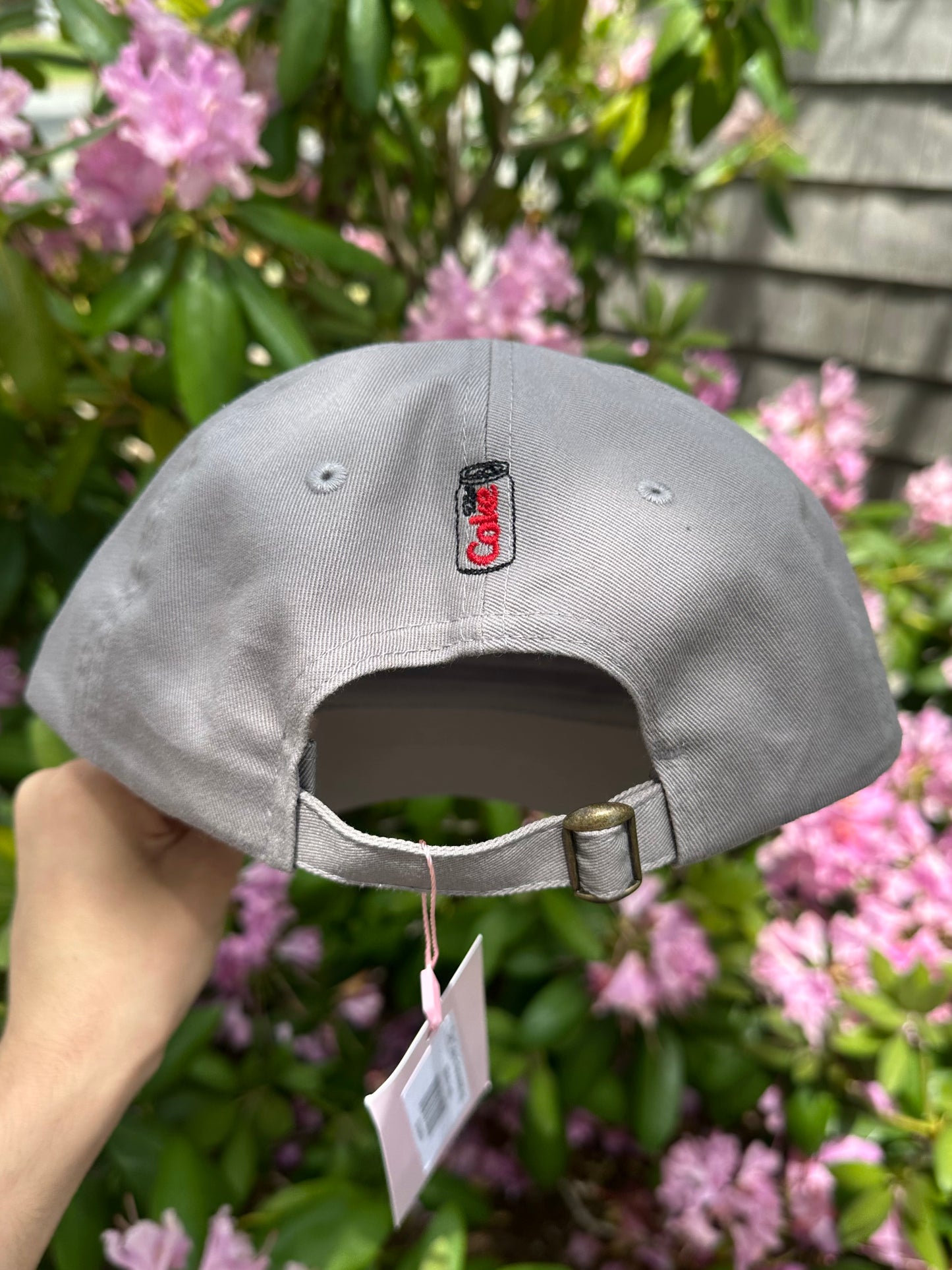 Diet Coke Embroidered Hat