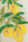 Sicilian Lemon Hand-Beaded Small Boat Tote: Pre order