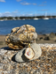 Mini oyster necklace with pearl