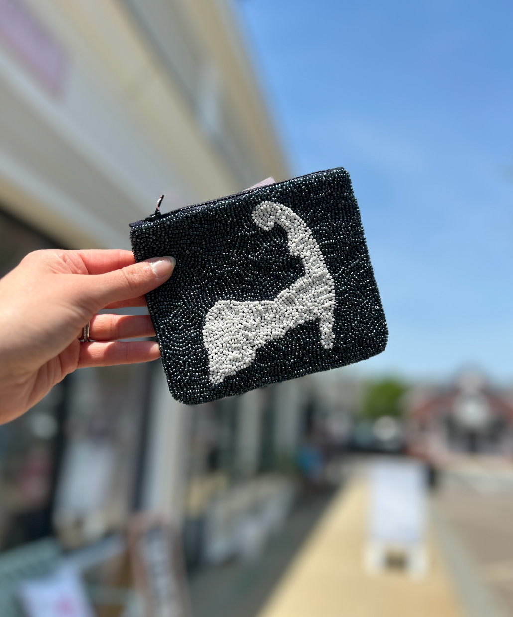 Cape Cod coin Purse